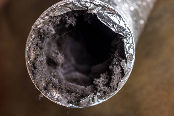 Best Professional Duct Cleaning Services  in Bladenboro, NC