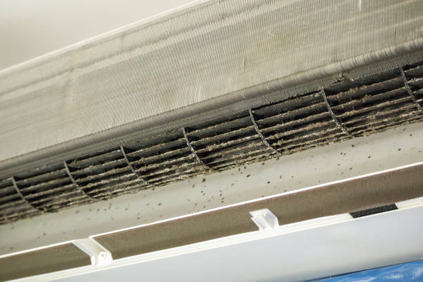 Best Ductwork Cleaning Services  in Bladenboro, NC